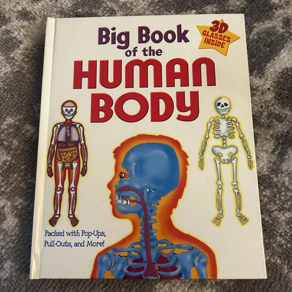 Scholastic Health Theme Books - Picture 2 of 7